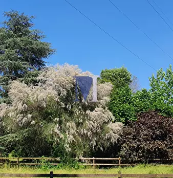 Foto annuncio 3