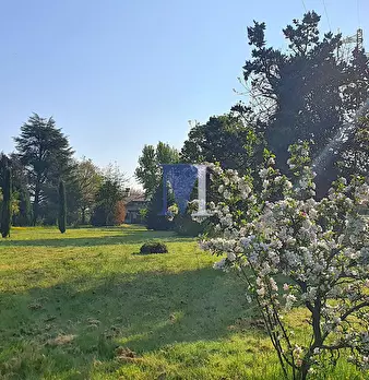 Foto annuncio 11