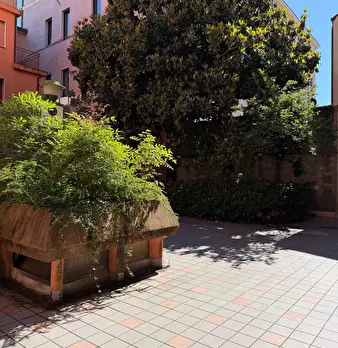 Foto annuncio 2