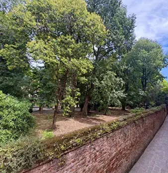 Foto annuncio 1
