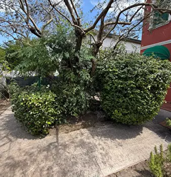 Foto annuncio 6