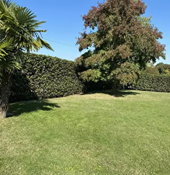 Foto annuncio 22