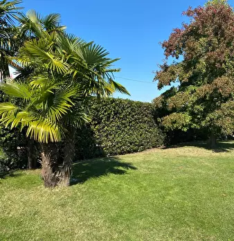 Foto annuncio 23