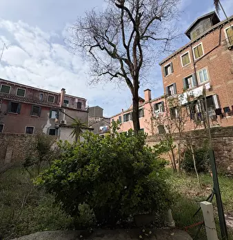 Foto annuncio 5