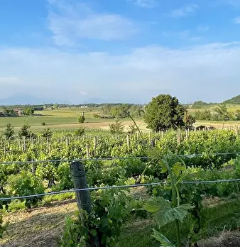 Foto annuncio 8