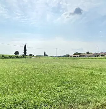 Foto annuncio 24