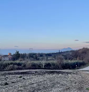 Foto annuncio 25