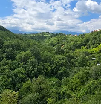 Foto annuncio 47