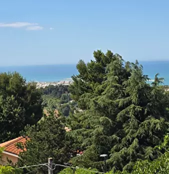 Foto annuncio 19