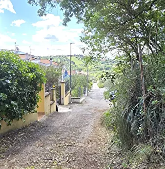 Foto annuncio 17