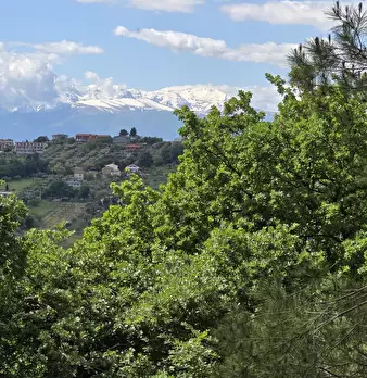 Foto annuncio 6