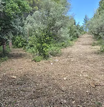 Foto annuncio 18
