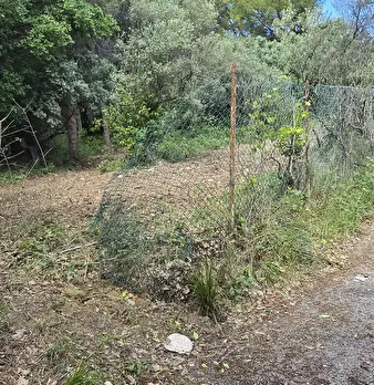 Foto annuncio 19