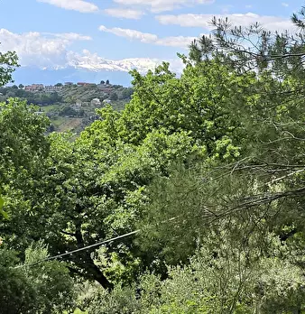 Foto annuncio 7