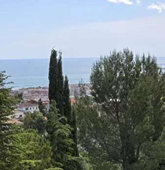 Foto annuncio 10