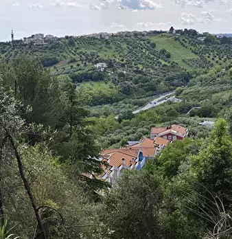 Foto annuncio 13