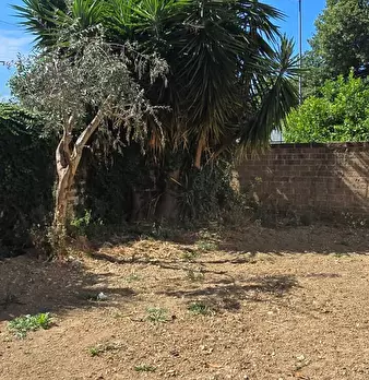 Foto annuncio 20