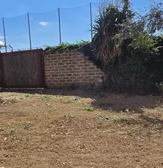 Foto annuncio 22