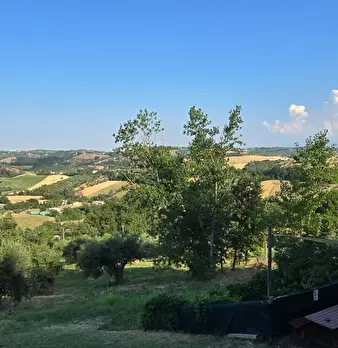 Foto annuncio 41