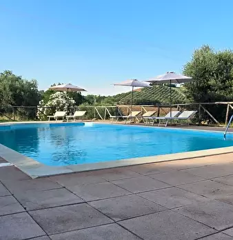 Foto annuncio 55