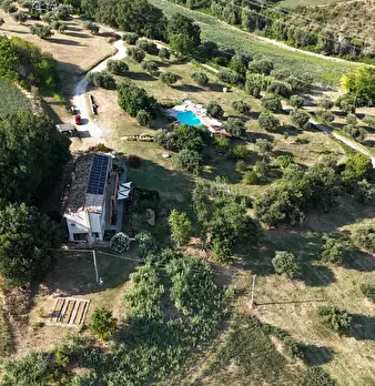 Foto annuncio 46