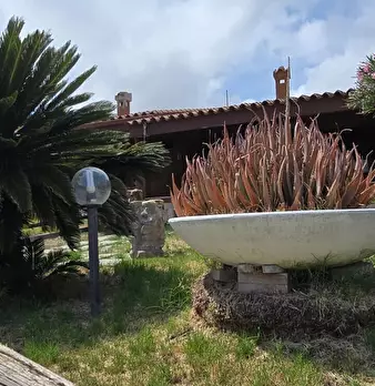 Foto annuncio 39
