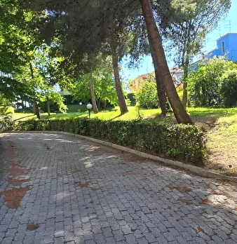 Foto annuncio 43
