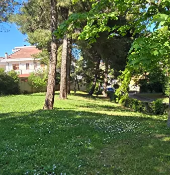 Foto annuncio 42