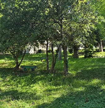 Foto annuncio 41