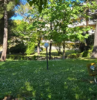 Foto annuncio 40