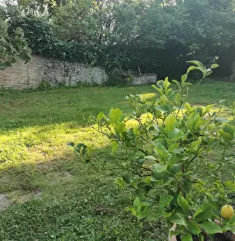 Foto annuncio 7