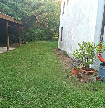 Foto annuncio 3
