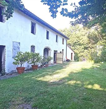 Foto annuncio 2