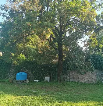 Foto annuncio 6