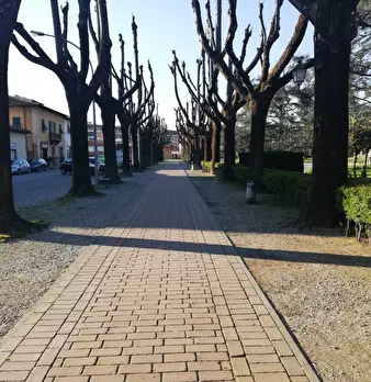 Foto annuncio 2