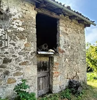 Foto annuncio 4