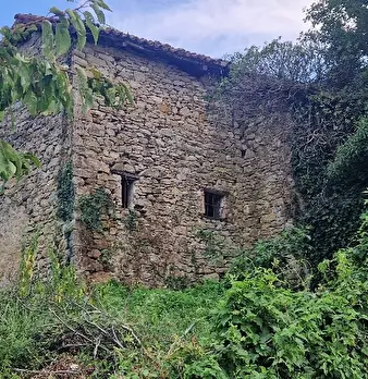 Foto annuncio 5