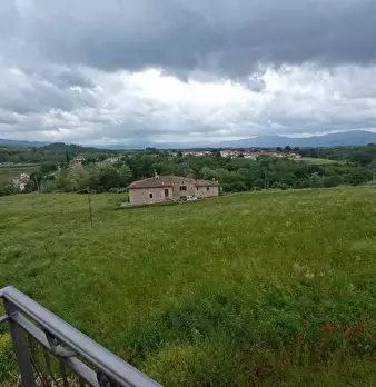 Foto annuncio 8