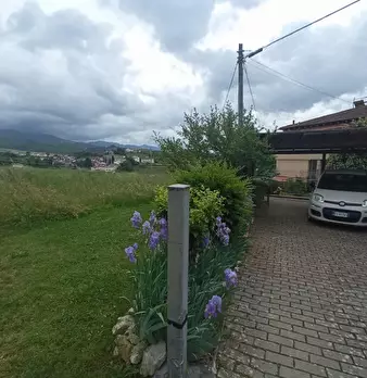Foto annuncio 18