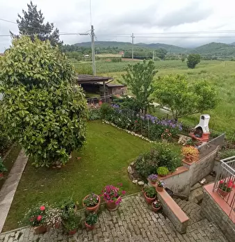 Foto annuncio 3