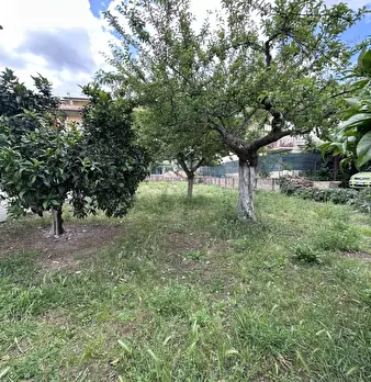 Foto annuncio 5
