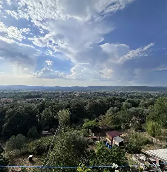 Foto annuncio 16