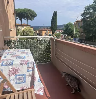 Foto annuncio 18