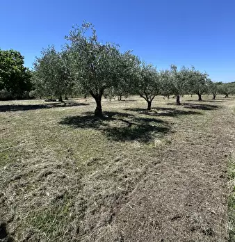 Foto annuncio 13