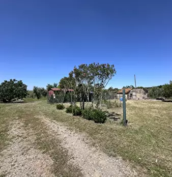 Foto annuncio 14