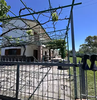 Foto annuncio 6