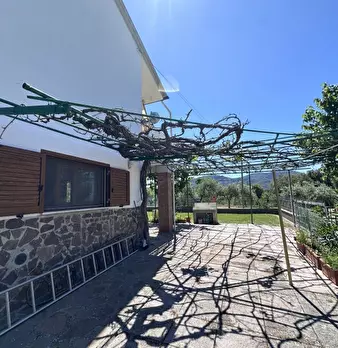 Foto annuncio 9