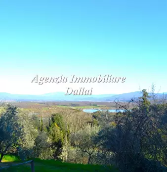 Foto annuncio 25