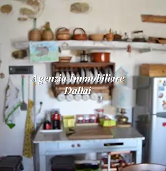 Foto annuncio 6