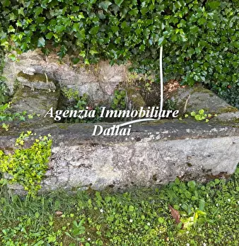 Foto annuncio 21
